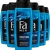 Fa Perfect Wave Douchegel 6x 250ml - Grootverpakking -Verzorgingsproducten 1140x1200 2