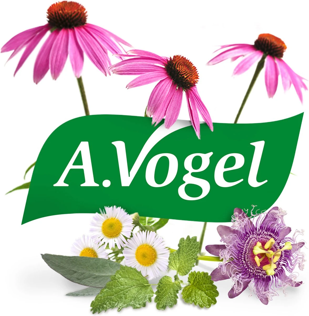 A.Vogel Arnica Vallen En Stoten Crème - Verzorgt De Blauwverkleurde Huid - 30 G 10 A.Vogel Arnica Vallen En Stoten Crème - Verzorgt De Blauwverkleurde Huid - 30 G - Afbeelding 8