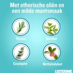 LISTERINE Cool Mint Milde Smaak, Mondspoeling Zonder Alcohol Met Etherische Oliën, Helpt Bacteriën Te Verwijderen En Zorgt Voor Een Langdurig Frisse Adem, 3 X 500 Ml -Verzorgingsproducten 1194x1200 4