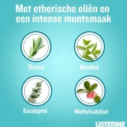 LISTERINE® Fresh Mint, Mondspoeling Met Essentiële Oliën Voor Een Langdurig Frisse Adem, 3x600ml 17 LISTERINE® Fresh Mint, Mondspoeling Met Essentiële Oliën Voor Een Langdurig Frisse Adem, 3x600ml -Verzorgingsproducten 1196x1200 7