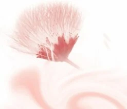 Kneipp Silky Secret - Douchegel -Verzorgingsproducten 1200x1033 3