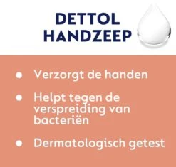 Dettol - Handzeep - Verzachtend – Aloe Vera - 250ml X12 -Verzorgingsproducten 1200x1142 2