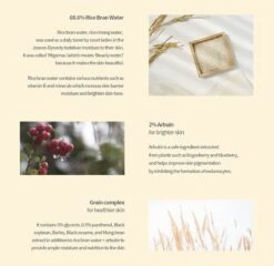 Glow Deep Serum Arbutan + Ricebran Tegen Pigmentatie -Verzorgingsproducten 1200x1167 1