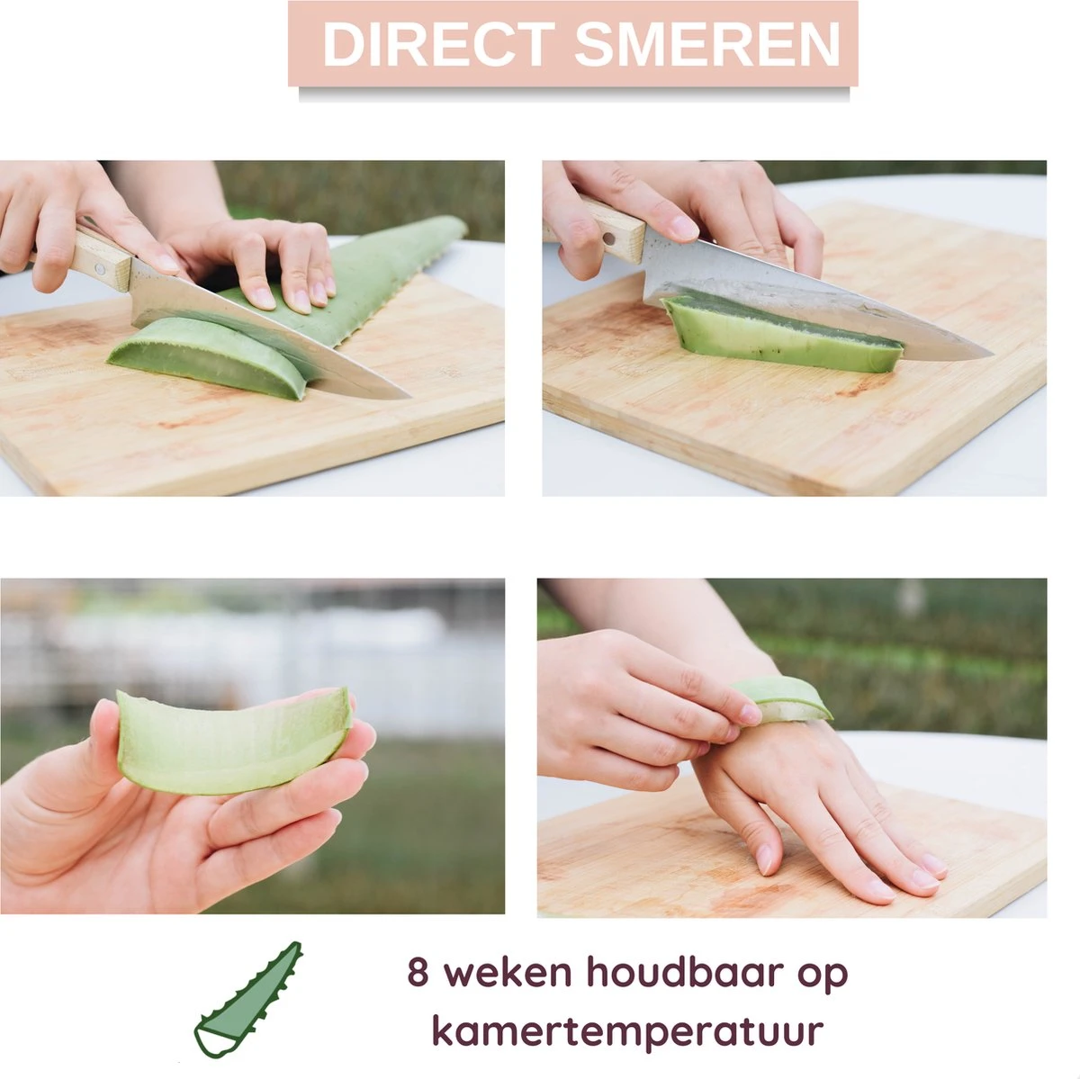 Dr. Green® 1x- Aloë Vera Blad - MAAK GEL IN 3 MINUTEN - 100% Puur - Biologisch 5 Dr. Green® 1x- Aloë Vera Blad - MAAK GEL IN 3 MINUTEN - 100% Puur - Biologisch - Afbeelding 3