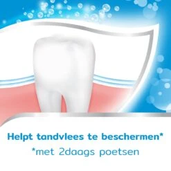Aquafresh Freshmint 3in1 Tandpasta Voor Een Frisse Adem Voordeelverpakking 12x75ml, Recyclebare Plastic Tube En Dop -Verzorgingsproducten 1200x1200 1187