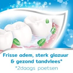 Aquafresh Freshmint 3in1 Tandpasta Voor Een Frisse Adem Voordeelverpakking 12x75ml, Recyclebare Plastic Tube En Dop -Verzorgingsproducten 1200x1200 1188