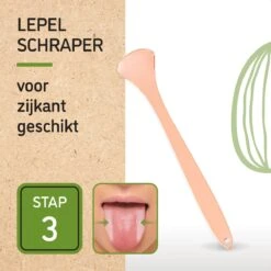 Nutty Green 3-Delige Tongschraper Set Inclusief Opbergcase - Tongreiniging Mondverzorging - Tongreiniger Mondhygiëne - RVS Schraper Voor Schone Tong Reiniging - Tongborstel Tegen Slechte Adem - Zero Waste Lifestyle 17 Nutty Green 3-Delige Tongschraper Set Inclusief Opbergcase - Tongreiniging Mondverzorging - Tongreiniger Mondhygiëne - RVS Schraper Voor Schone Tong Reiniging - Tongborstel Tegen Slechte Adem - Zero Waste Lifestyle -Verzorgingsproducten 1200x1200 1300