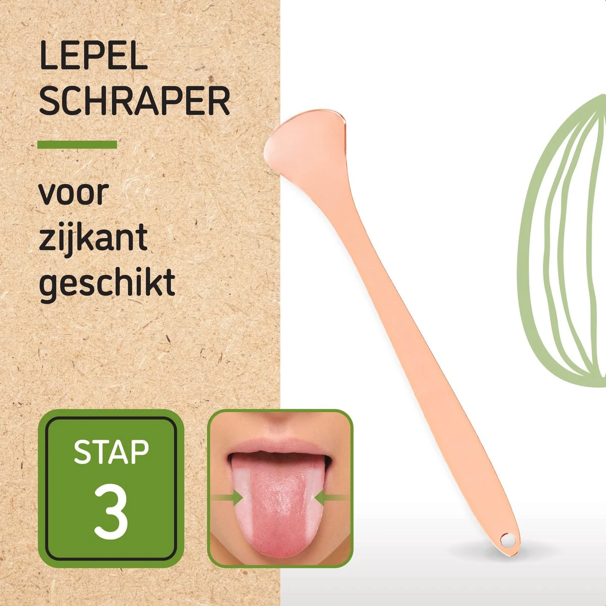 Nutty Green 3-Delige Tongschraper Set Inclusief Opbergcase - Tongreiniging Mondverzorging - Tongreiniger Mondhygiëne - RVS Schraper Voor Schone Tong Reiniging - Tongborstel Tegen Slechte Adem - Zero Waste Lifestyle 9 Nutty Green 3-Delige Tongschraper Set Inclusief Opbergcase - Tongreiniging Mondverzorging - Tongreiniger Mondhygiëne - RVS Schraper Voor Schone Tong Reiniging - Tongborstel Tegen Slechte Adem - Zero Waste Lifestyle - Afbeelding 7