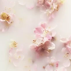 RITUALS The Ritual Of Sakura Recovery Hand Balm - 70 Ml 8 RITUALS The Ritual Of Sakura Recovery Hand Balm - 70 Ml -Verzorgingsproducten 1200x1200 232