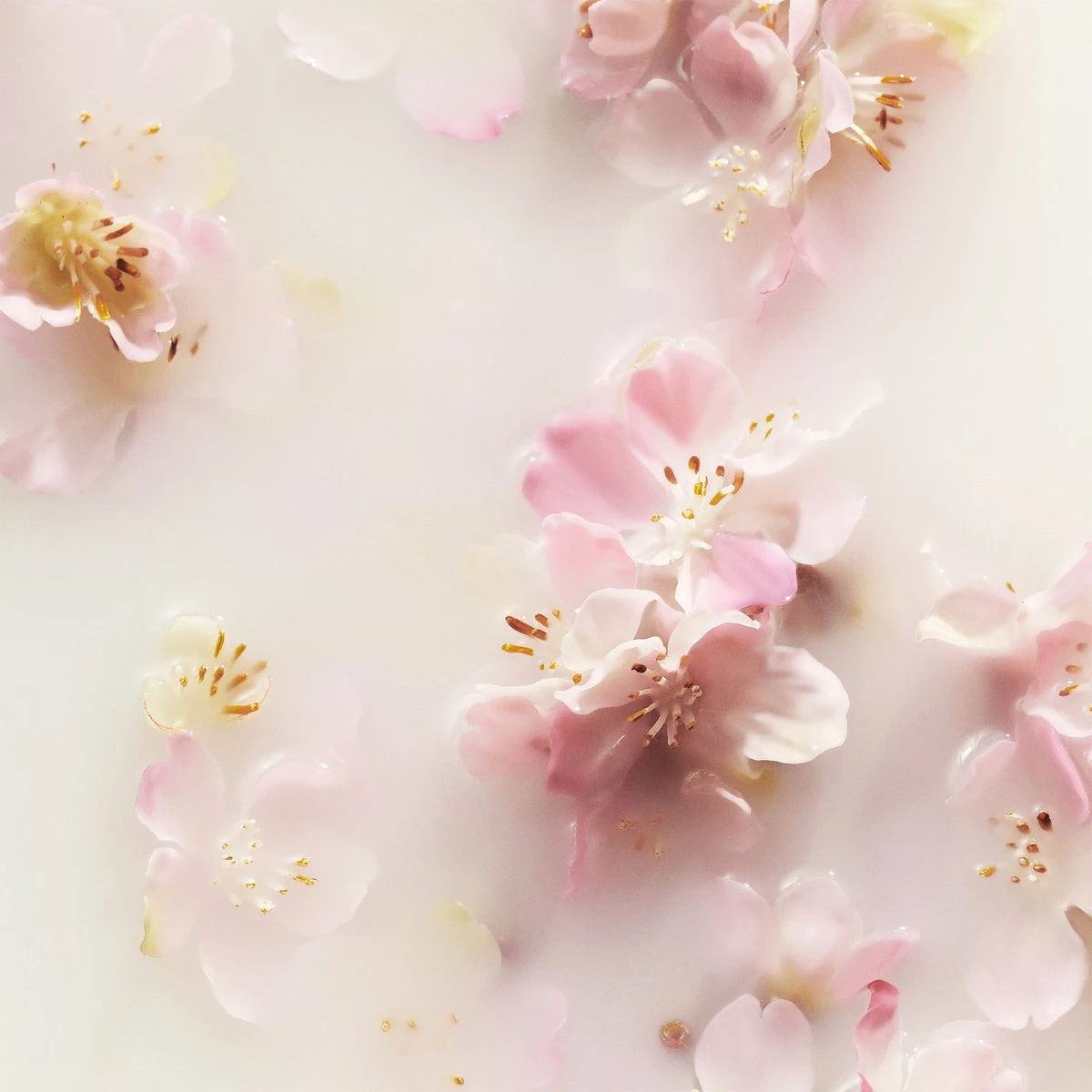 RITUALS The Ritual Of Sakura Recovery Hand Balm - 70 Ml 5 RITUALS The Ritual Of Sakura Recovery Hand Balm - 70 Ml - Afbeelding 3