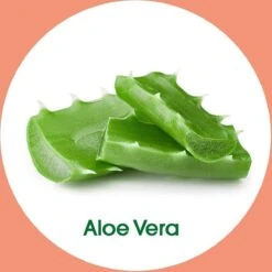 Dettol - Handzeep - Verzachtend – Aloe Vera - 250ml X12 -Verzorgingsproducten 1200x1200 239