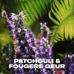 Axe Musk Bodyspray Deodorant - 6 X 150 Ml - Voordeelverpakking -Verzorgingsproducten 1200x1200 292