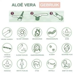 Dr. Green® 1x- Aloë Vera Blad - MAAK GEL IN 3 MINUTEN - 100% Puur - Biologisch 23 Dr. Green® 1x- Aloë Vera Blad - MAAK GEL IN 3 MINUTEN - 100% Puur - Biologisch -Verzorgingsproducten 1200x1200 449