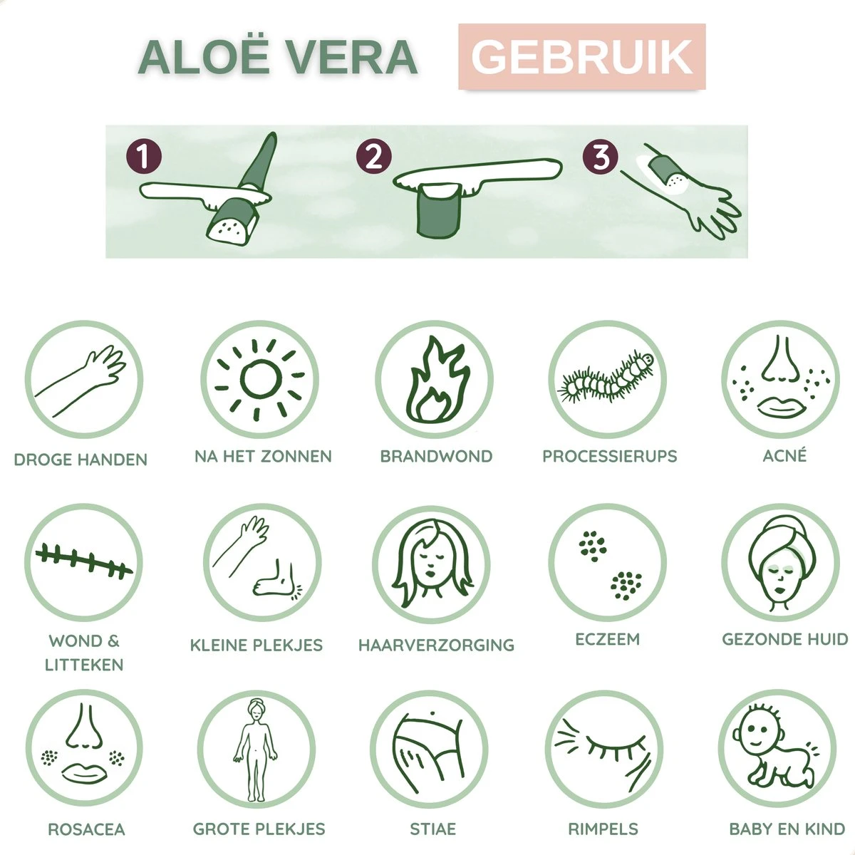 Dr. Green® 1x- Aloë Vera Blad - MAAK GEL IN 3 MINUTEN - 100% Puur - Biologisch 12 Dr. Green® 1x- Aloë Vera Blad - MAAK GEL IN 3 MINUTEN - 100% Puur - Biologisch - Afbeelding 10