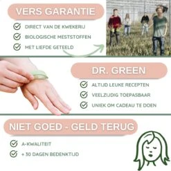 Dr. Green® 1x- Aloë Vera Blad - MAAK GEL IN 3 MINUTEN - 100% Puur - Biologisch 24 Dr. Green® 1x- Aloë Vera Blad - MAAK GEL IN 3 MINUTEN - 100% Puur - Biologisch -Verzorgingsproducten 1200x1200 450