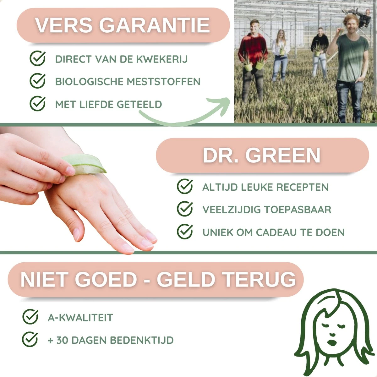 Dr. Green® 1x- Aloë Vera Blad - MAAK GEL IN 3 MINUTEN - 100% Puur - Biologisch 13 Dr. Green® 1x- Aloë Vera Blad - MAAK GEL IN 3 MINUTEN - 100% Puur - Biologisch - Afbeelding 11