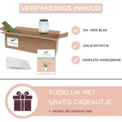 Dr. Green® 1x- Aloë Vera Blad - MAAK GEL IN 3 MINUTEN - 100% Puur - Biologisch 25 Dr. Green® 1x- Aloë Vera Blad - MAAK GEL IN 3 MINUTEN - 100% Puur - Biologisch -Verzorgingsproducten 1200x1200 451