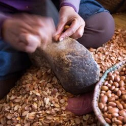 Merkloos Biologische Arganolie Uit Marokko 100 Ml - 100% Puur, Koudgeperst - Voor De Huid, Haar, Nagels - Boordevol Vitamine E, Essentiële Vetzuren En Antioxidanten -Verzorgingsproducten 1200x1200 480