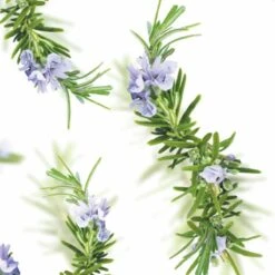 Kneipp New Energy - Douchegel 13 Kneipp New Energy - Douchegel -Verzorgingsproducten 1200x1200 671