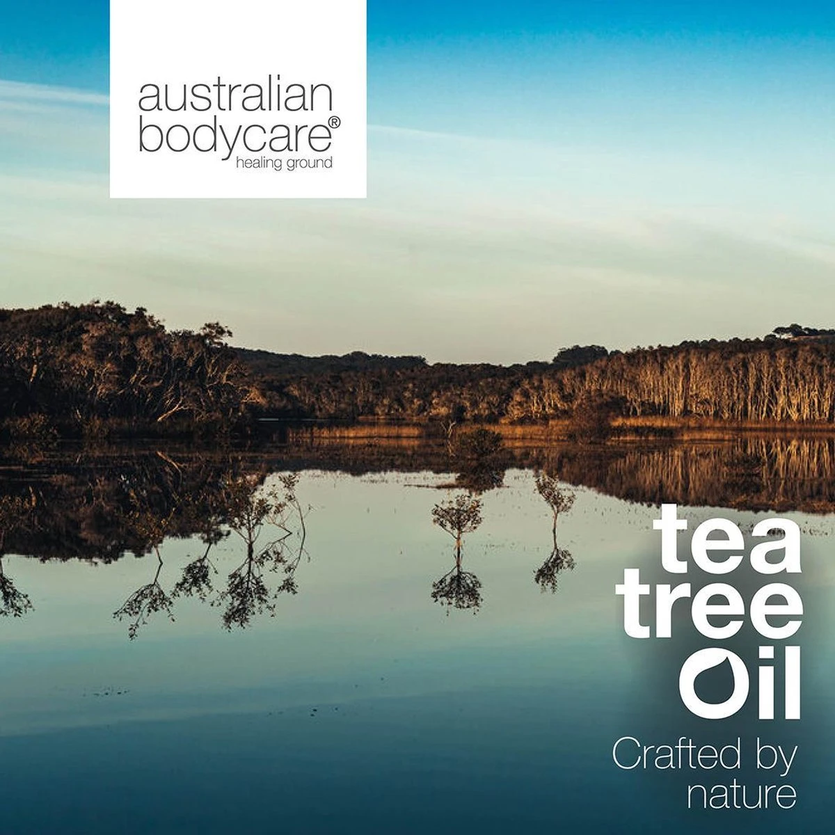 Australian Bodycare Intim Wash 500 Ml - Intieme Zeep Voor De Intieme Zone Met Tea Tree Olie - Helpt Bij Jeuk, Onaangename Geurtjes En Ander Intiem Ongemak - Effectief Tegen Rode Bultjes, Scheerbrand En Ingegroeide Haartjes Na Intiem Scheren 5 Australian Bodycare Intim Wash 500 Ml - Intieme Zeep Voor De Intieme Zone Met Tea Tree Olie - Helpt Bij Jeuk, Onaangename Geurtjes En Ander Intiem Ongemak - Effectief Tegen Rode Bultjes, Scheerbrand En Ingegroeide Haartjes Na Intiem Scheren - Afbeelding 3