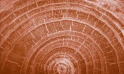 Kneipp Men - Warm Woods - Douche 2-in-1 -Verzorgingsproducten 1200x720 2