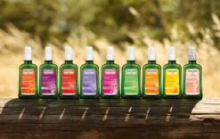 Weleda Wilde Rozen Harmoniserende Body Olie 9 Weleda Wilde Rozen Harmoniserende Body Olie -Verzorgingsproducten 1200x758 1