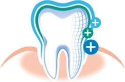 Elmex Tandpasta Sensitive 12 X 75ml - Voordeelverpakking -Verzorgingsproducten 1200x794 1