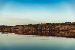 Australian Bodycare Body Treatment - 3 Producten Tegen Puistjes, Een Onzuivere Huid En Mee–eters Op De Rug En Billen Gebaseerd Op Tea Tree Olie - Bevat Douchegel En Peeling Om Je Huid Te Reinigen En Bodylotion Om Je Huid Te Hydrateren En Verzorgen -Verzorgingsproducten 1200x800 9