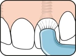 TePe Compact Tuft - Single Tufted Borstel - Tandenborstel -Verzorgingsproducten 1200x899 8