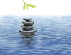 Kneipp Me-Time - Douchegel -Verzorgingsproducten 1200x921