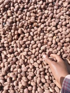 Whipped Unrefined Shea Butter - Biologisch Opgeklopte Ongeraffineerd Sheaboter Sheabutter 500 Ml -Verzorgingsproducten 900x1200 4