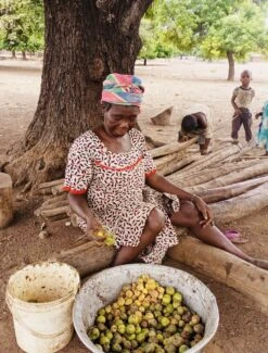 Whipped Unrefined Shea Butter - Biologisch Opgeklopte Ongeraffineerd Sheaboter Sheabutter 500 Ml -Verzorgingsproducten 911x1200